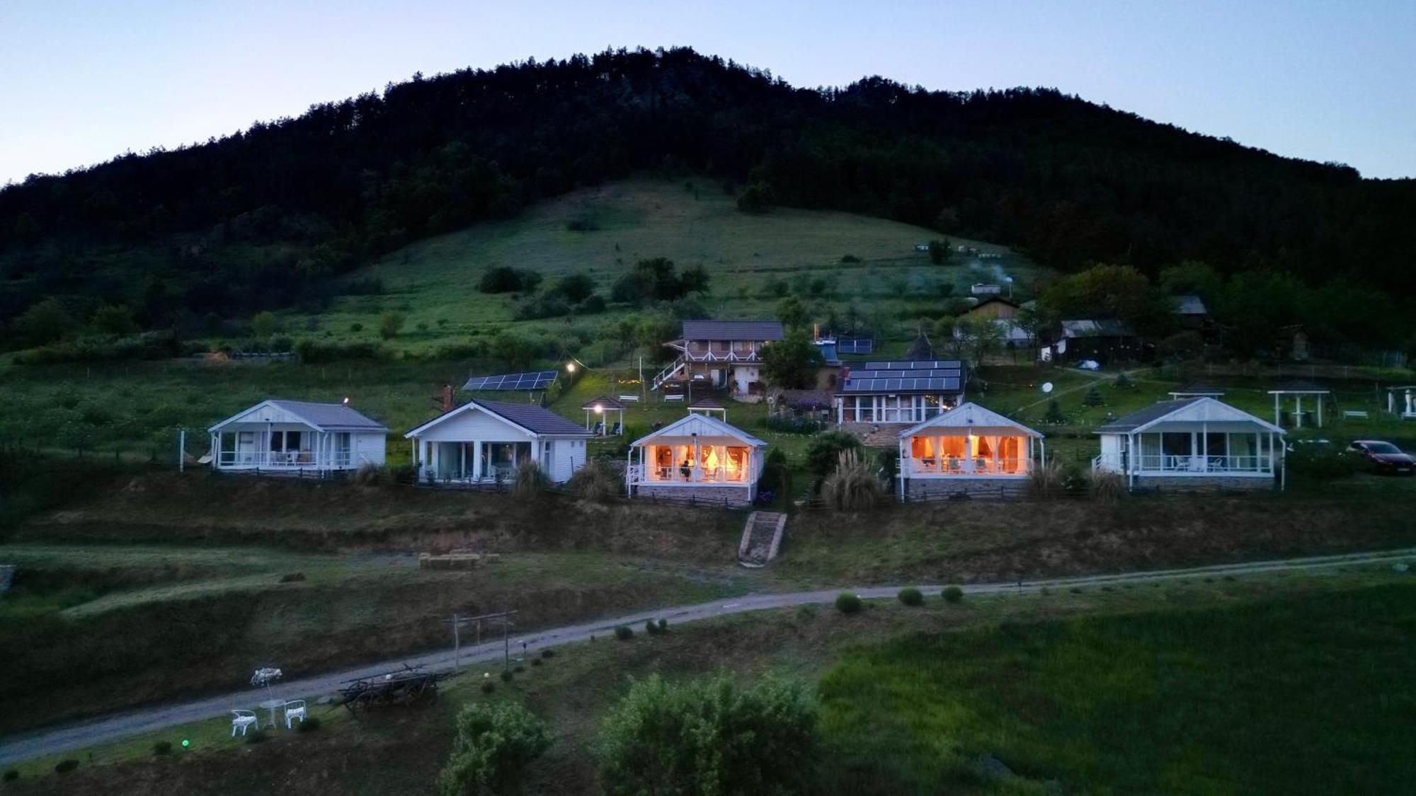 Dream Tricule Villa Svinita Exterior photo